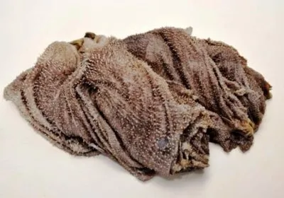 Скільки шлунків у корови що робити якщо став (корови) Скільки шлунків у корови що робити якщо став