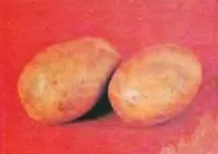 Як пробудити бульби картоплі (город - картопля) (город) Як пробудити бульби картоплі (город - картопля)