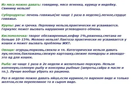 Як привчити кішку до домашньої їжі (теж дуже погано) Як привчити кішку до домашньої їжі