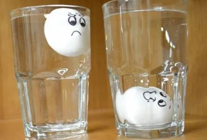 Як перевірити свіжість яєць в магазині і в домашніх умовах
