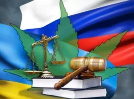 Як розповісти рідним, що ти куриш траву, 4 20 time () Як розповісти рідним, що ти куриш траву, 4 20 time