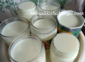 Як зробити домашній йогурт з ягодами, фруктами, сиром, нянюшкін портал - будинок і сім'я (зробити) Як зробити домашній йогурт з ягодами, фруктами, сиром, нянюшкін портал - будинок і сім'я