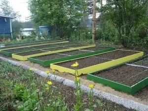 Як зробити грядки з полікарбонату своїми руками технологія і рекомендації (зробити) Як зробити грядки з полікарбонату своїми руками технологія і рекомендації