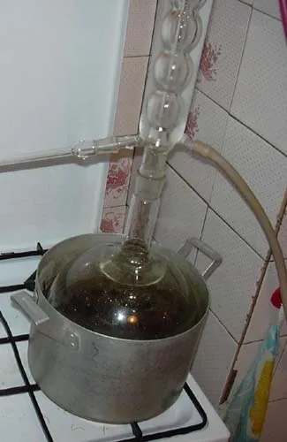 Як зробити абсент