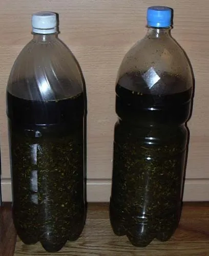 Як зробити абсент