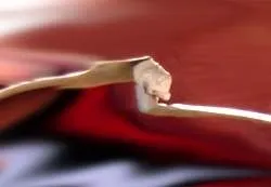 Як зробити штангу будинку