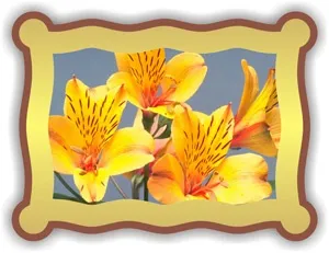 Як зробити рамку coreldraw x3