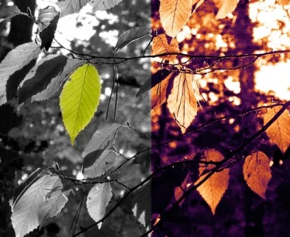 Як зробити матовий колір в photoshop (колір) Як зробити матовий колір в photoshop