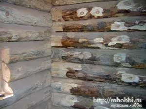 Як шліфувати колоди лазні