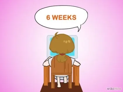 Як збирати ожину 1