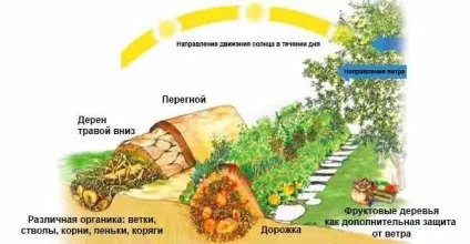 Як зробити високі грядки корисні ідеї для відмінного врожаю (youtube) Як зробити високі грядки корисні ідеї для відмінного врожаю