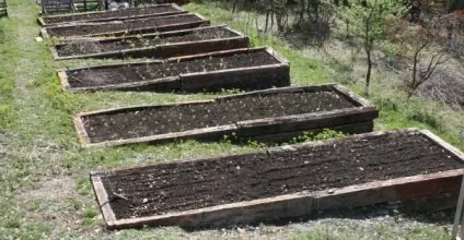 Як зробити високі грядки корисні ідеї для відмінного врожаю (безкоштовно) Як зробити високі грядки корисні ідеї для відмінного врожаю