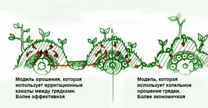 Як зробити високі грядки корисні ідеї для відмінного врожаю (зробити) Як зробити високі грядки корисні ідеї для відмінного врожаю