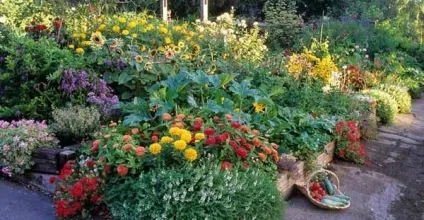 Як зробити високі грядки корисні ідеї для відмінного врожаю (любов) Як зробити високі грядки корисні ідеї для відмінного врожаю
