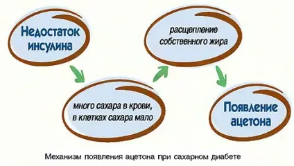 Як знизити рівень ацетону в крові у дитини (ацетон в крові) Як знизити рівень ацетону в крові у дитини