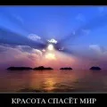 Як укладати волосся лаком