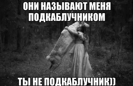 Як стати підкаблучником і не облажався, the novosibirsk room (стати підкаблучником потрібно) Як стати підкаблучником і не облажався, the novosibirsk room