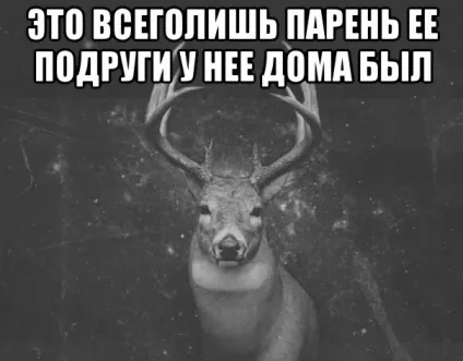 Як стати підкаблучником і не облажався, the novosibirsk room (стати підкаблучником потрібно) Як стати підкаблучником і не облажався, the novosibirsk room