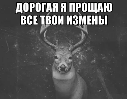 Як стати підкаблучником і не облажався, the novosibirsk room (облажаться) Як стати підкаблучником і не облажався, the novosibirsk room