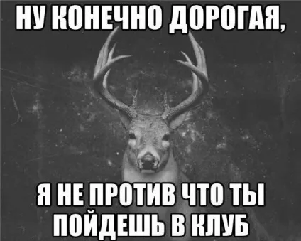Як стати підкаблучником і не облажався, the novosibirsk room (підкаблучником) Як стати підкаблучником і не облажався, the novosibirsk room