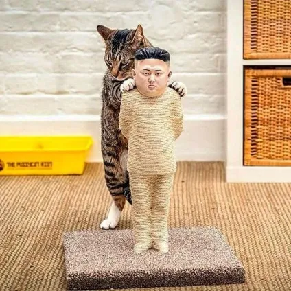 Яку когтеточку вибрати для кішки (когтеточку) Яку когтеточку вибрати для кішки