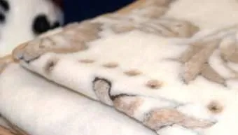 Як вибрати ковдру по наповнювача корисні поради (ковдру) Як вибрати ковдру по наповнювача корисні поради
