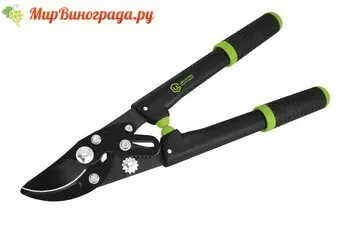 Як вибрати найкращий сучкорез садовий
