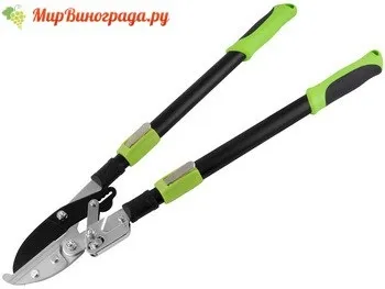 Як вибрати найкращий сучкорез садовий
