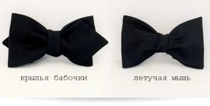 Як вибрати і як зав'язувати краватку-метелика (краватку-метелика) Як вибрати і як зав'язувати краватку-метелика