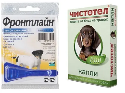 Як вивести бліх у цуценяти в домашніх умовах - огляд кращих засобів (бліх) Як вивести бліх у цуценяти в домашніх умовах - огляд кращих засобів