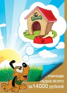 Собака зламала лапу - перша допомога