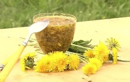 Сік кульбаби як застосовувати, користь, що лікує сік кульбаби (користь) Сік кульбаби як застосовувати, користь, що лікує сік кульбаби