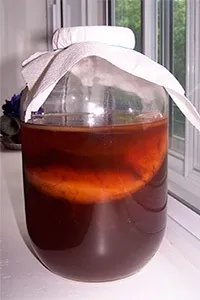 Як зберігати чайний гриб
