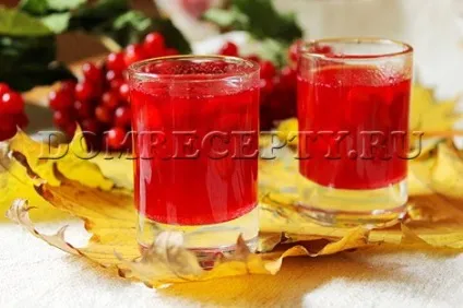 Як заготовити калину на зиму - простий рецепт заготовки з фото (калину) Як заготовити калину на зиму - простий рецепт заготовки з фото
