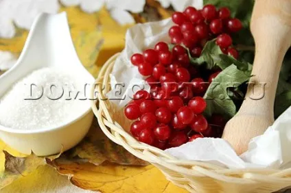 Як заготовити калину на зиму - простий рецепт заготовки з фото (як заготовити калину на зиму) Як заготовити калину на зиму - простий рецепт заготовки з фото