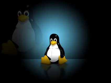 Як в linux розбити розділи