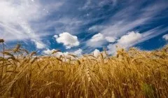 Як закінчити рядок Редьярда Кіплінга хто не любить питати
