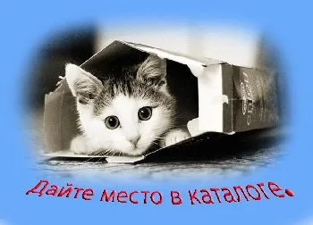 Як зареєструватися в яндекс каталозі безкоштовно, блог Дмитра Байдук (безкоштовно) Як зареєструватися в яндекс каталозі безкоштовно, блог Дмитра Байдук