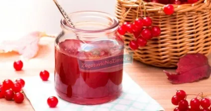 Калина на зиму золоті рецепти з фото (калина червона рецепти на зиму) Калина на зиму золоті рецепти з фото