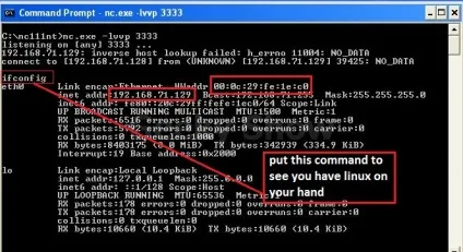 Kali linux як використовувати ncat - thecurrent - говоримо про linux, joomla, android, злом і