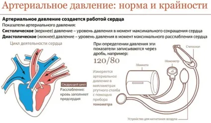 Як жити з гіпертонією - скільки років живуть люди, 1, 2, 3 ступеня, без ліків і таблеток (жити) Як жити з гіпертонією - скільки років живуть люди, 1, 2, 3 ступеня, без ліків і таблеток