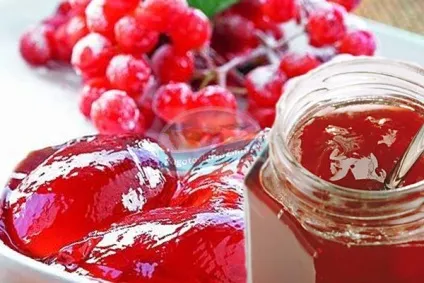 Калина на зиму золоті рецепти з фото (зиму) Калина на зиму золоті рецепти з фото