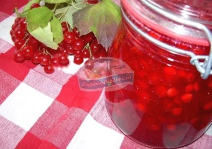 Калина на зиму золоті рецепти з фото (рецепти) Калина на зиму золоті рецепти з фото
