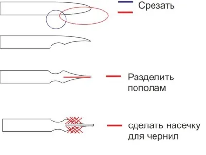 Калам - перо для декору і каліграфії своїми руками, коробочка ідей і майстер-класів (каліграфії) Калам - перо для декору і каліграфії своїми руками, коробочка ідей і майстер-класів
