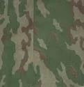 Камуфляж - види і забарвлення країн світу, інтернет проект я виживу (квітів) Камуфляж - види і забарвлення країн світу, інтернет проект я виживу