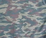 Камуфляж - види і забарвлення країн світу, інтернет проект я виживу (країн) Камуфляж - види і забарвлення країн світу, інтернет проект я виживу