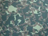 Камуфляж - види і забарвлення країн світу, інтернет проект я виживу (малюнок) Камуфляж - види і забарвлення країн світу, інтернет проект я виживу