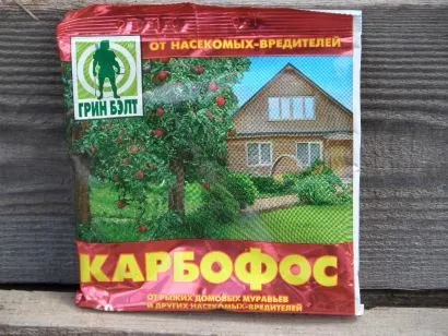 Карбофос застосування - інсектицид від шкідників (дерева і чагарники на дачній ділянці) Карбофос застосування - інсектицид від шкідників