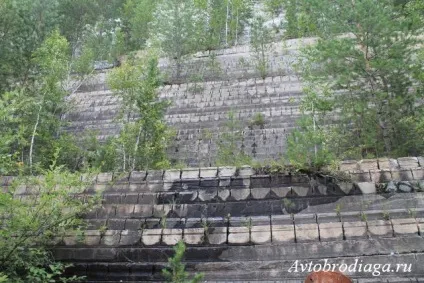 Кар'єр стара лінза, автобродяга (кар'єр) Кар'єр стара лінза, автобродяга