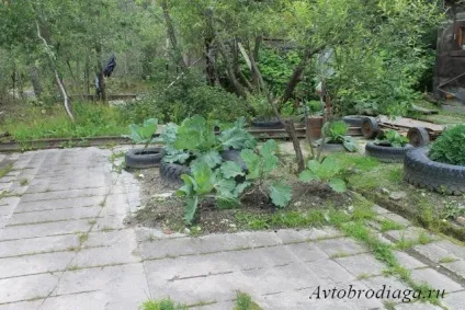 Кар'єр стара лінза, автобродяга (координати кар'єра стара лінза) Кар'єр стара лінза, автобродяга